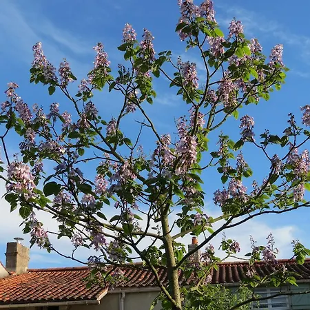 לינה וארוחת בוקר L'aubinoise Saint-Aubin-la-Plaine