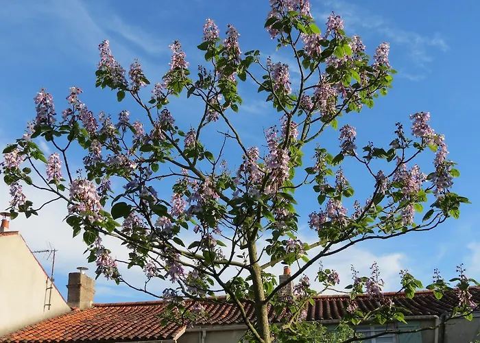 B&B L'aubinoise Saint-Aubin-la-Plaine